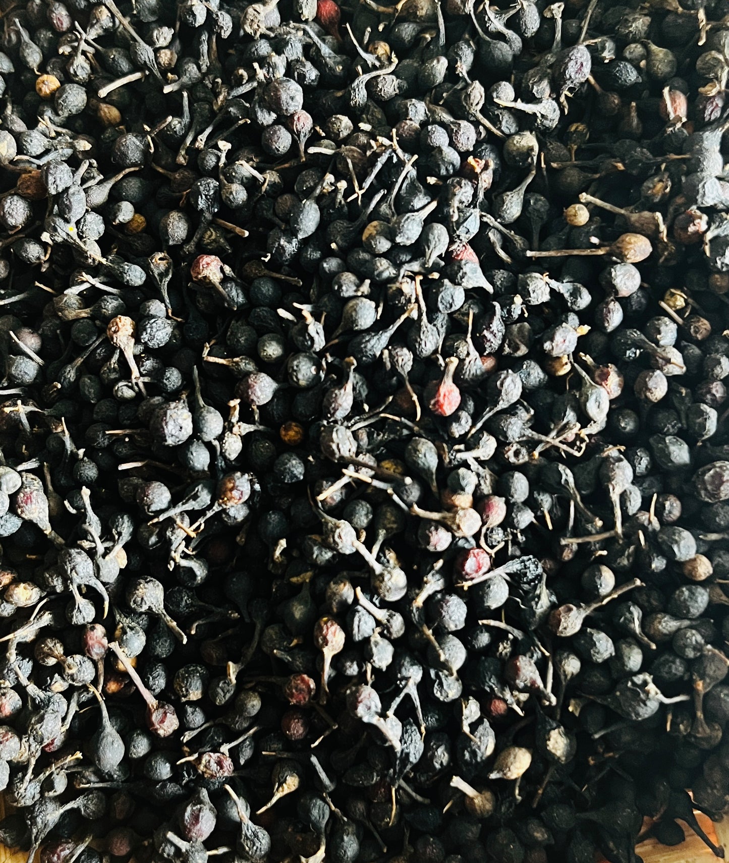 Poivre noir sauvage voatsiperifery